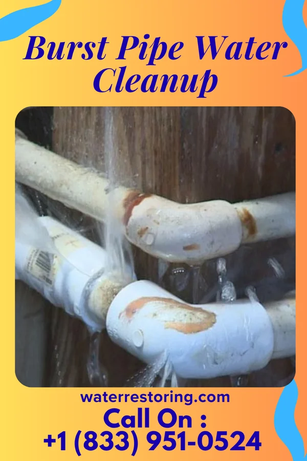 Burst Pipe Water Cleanup in Buena Vista, VA