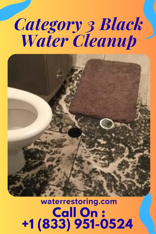 Category 3 Black Water Cleanup in Buena Vista, VA