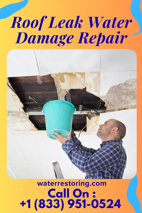 Roof Leak Water Damage Repair in Buena Vista, VA