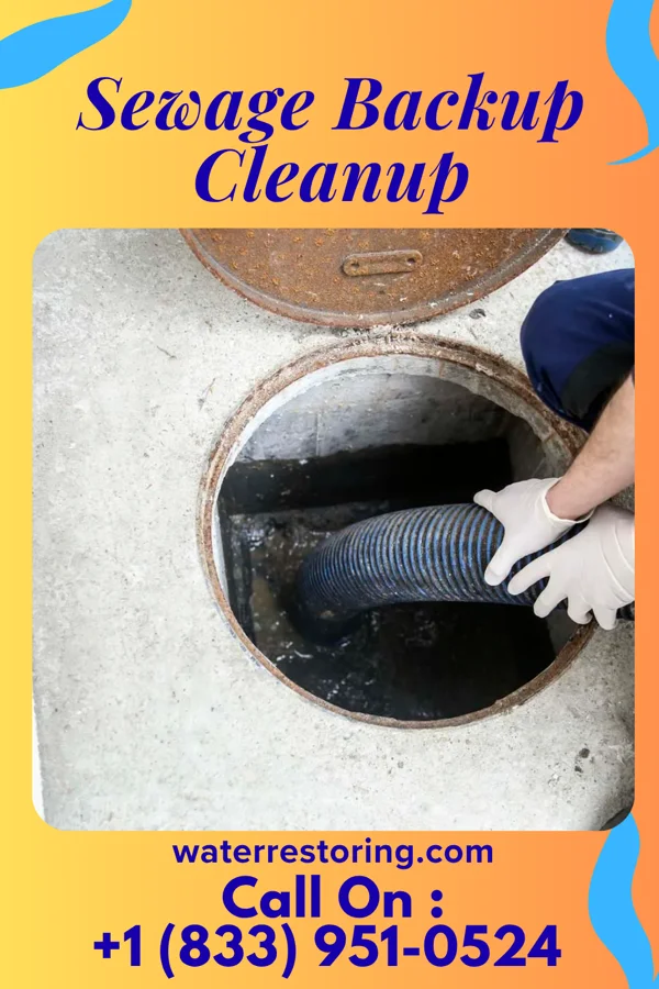 Sewage Backup Cleanup in Buena Vista, VA